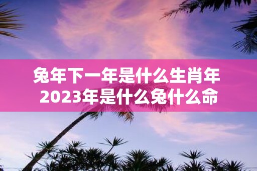 蛇年下一年是什么生肖年 2025年是什么兔什么命