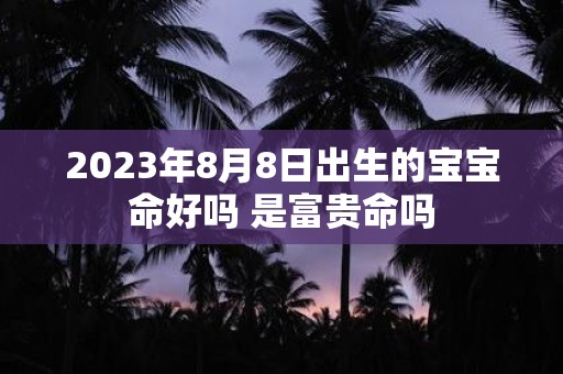 2025年8月8日出生的宝宝命好吗 是富贵命吗
