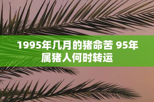 1995年几月的猪命苦 95年属猪人何时转运