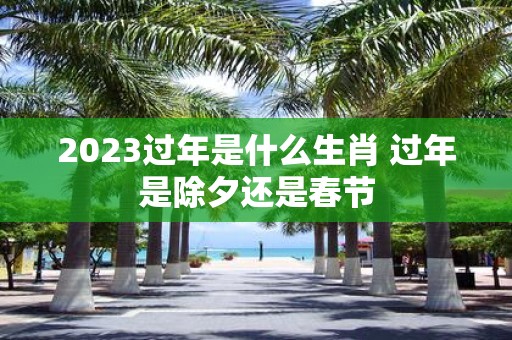 2025过年是什么生肖 过年是除夕还是春节