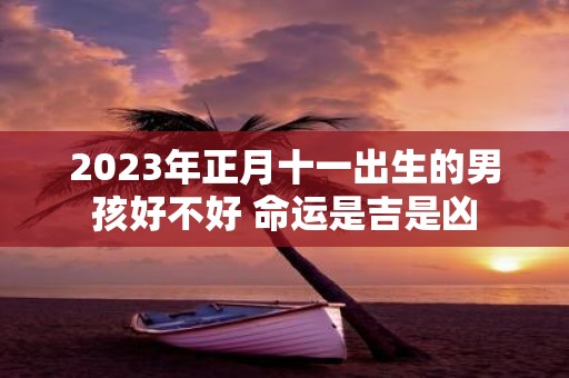 2025年正月十一出生的男孩好不好 命运是吉是凶