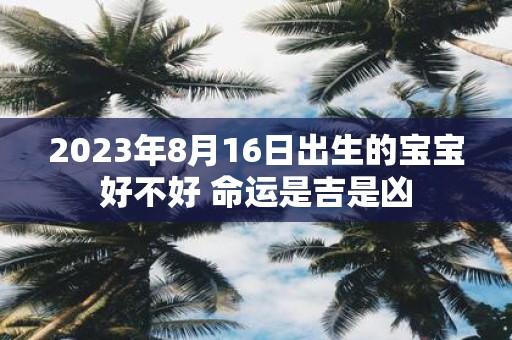 2025年8月16日出生的宝宝好不好 命运是吉是凶