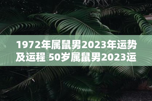 1972年属鼠男2025年运势及运程 50岁属鼠男2025运势解析