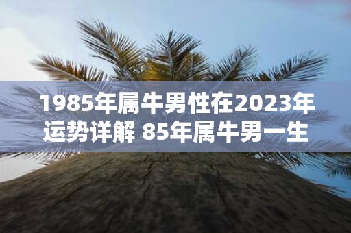 1985年属牛男性在2025年运势详解 85年属牛男一生有几次婚姻