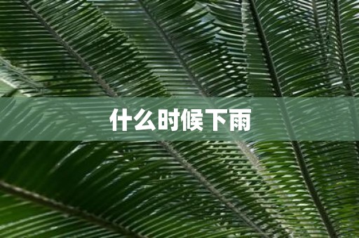 什么时候下雨