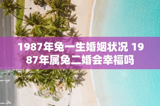 1987年兔一生婚姻状况 1987年属兔二婚会幸福吗