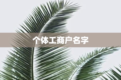 个体工商户名字