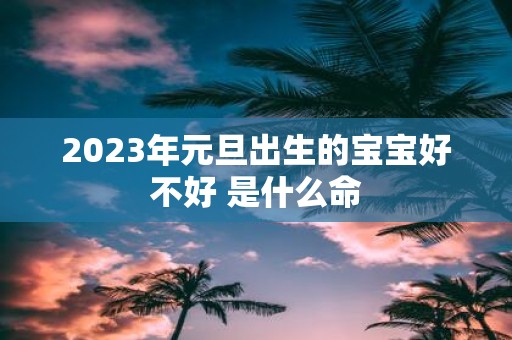 2025年元旦出生的宝宝好不好 是什么命