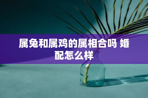 属兔和属鸡的属相合吗 婚配怎么样
