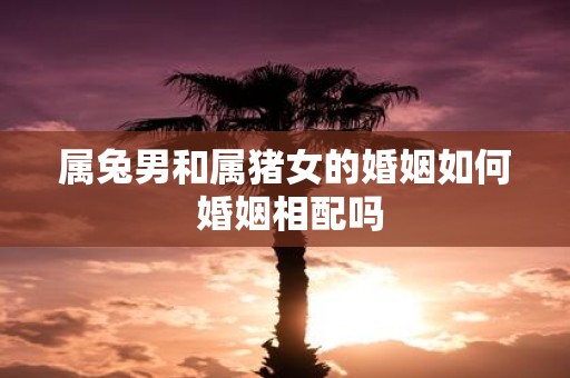 属兔男和属猪女的婚姻如何 婚姻相配吗