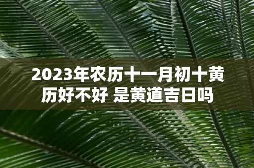 2025年农历十一月初十黄历好不好 是黄道吉日吗