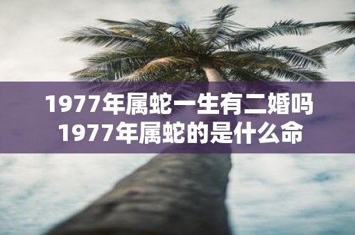 1977年属蛇一生有二婚吗 1977年属蛇的是什么命