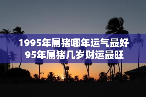 1995年属猪哪年运气最好 95年属猪几岁财运最旺