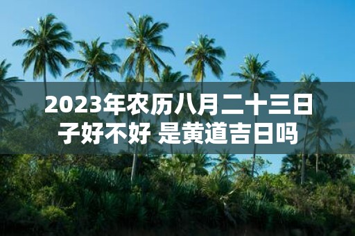 2025年农历八月二十三日子好不好 是黄道吉日吗