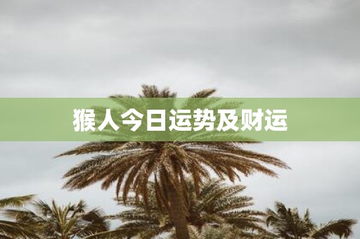 猴人今日运势及财运