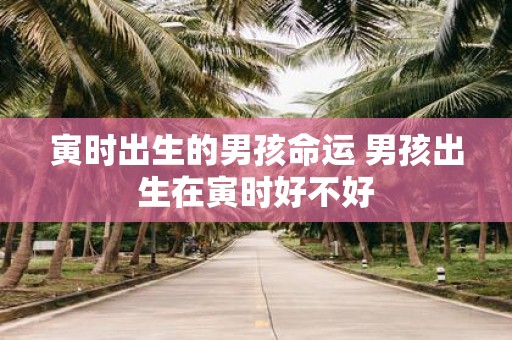 寅时出生的男孩命运 男孩出生在寅时好不好