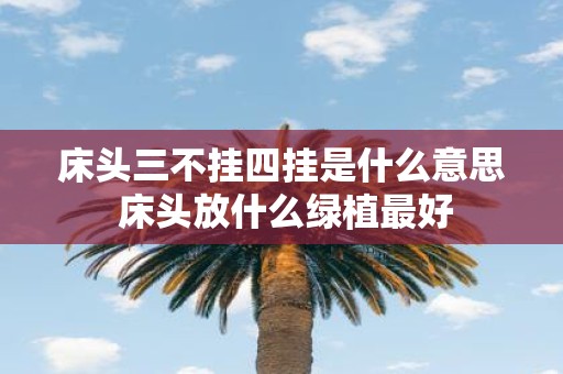 床头三不挂四挂是什么意思 床头放什么绿植最好
