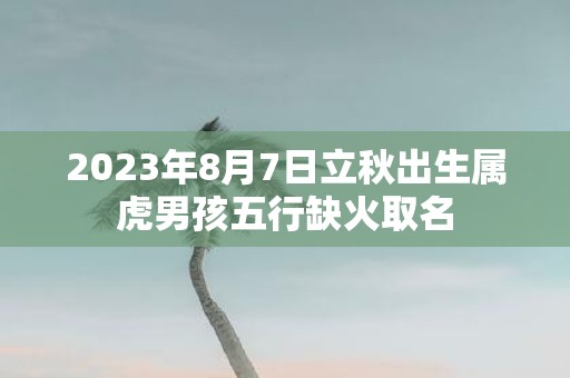 2025年8月7日立秋出生属虎男孩五行缺火取名
