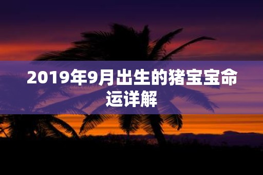 2019年9月出生的猪宝宝命运详解