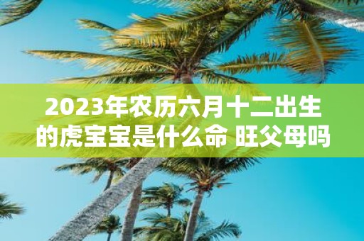 2025年农历六月十二出生的虎宝宝是什么命 旺父母吗