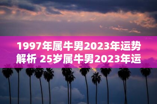 1997年属牛男2025年运势解析 25岁属牛男2025年运程一览