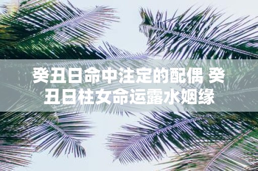 癸丑日命中注定的配偶 癸丑日柱女命运露水姻缘