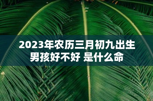 2025年农历三月初九出生男孩好不好 是什么命