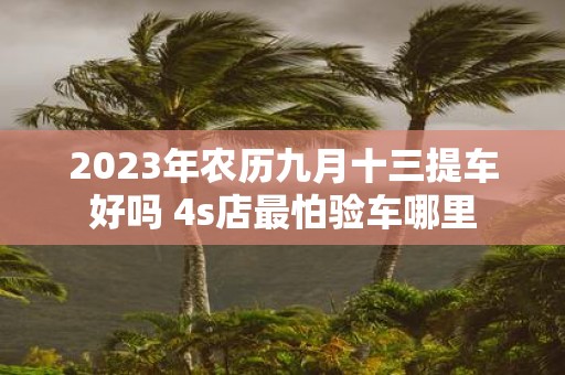 2025年农历九月十三提车好吗 4s店最怕验车哪里
