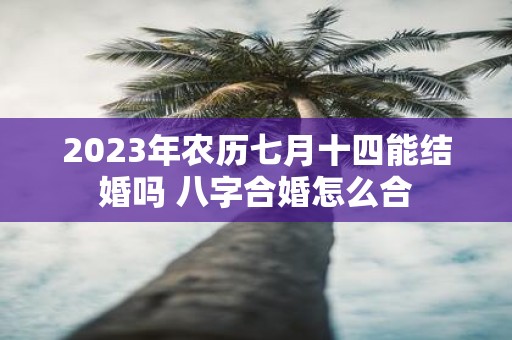2025年农历七月十四能结婚吗 八字合婚怎么合