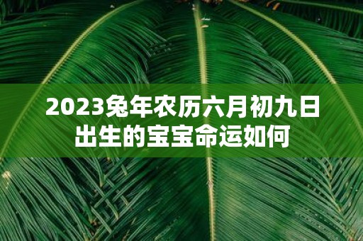 2025蛇年农历六月初九日出生的宝宝命运如何