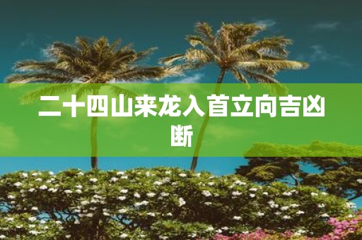 二十四山来龙入首立向吉凶断