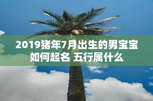 2019猪年7月出生的男宝宝如何起名 五行属什么