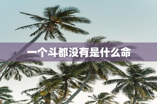 一个斗都没有是什么命