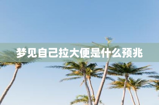 梦见自己拉大便是什么预兆