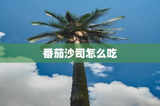 番茄沙司怎么吃