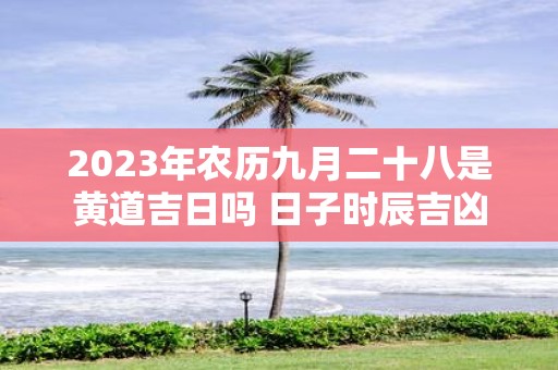 2025年农历九月二十八是黄道吉日吗 日子时辰吉凶