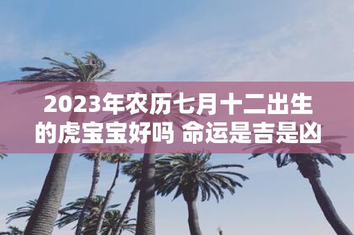 2025年农历七月十二出生的虎宝宝好吗 命运是吉是凶