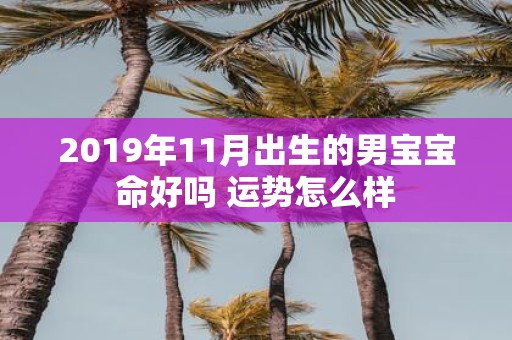2019年11月出生的男宝宝命好吗 运势怎么样