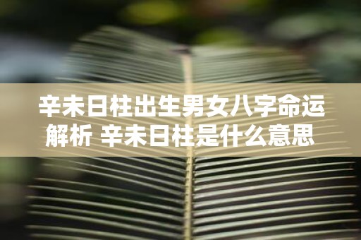 辛未日柱出生男女八字命运解析 辛未日柱是什么意思