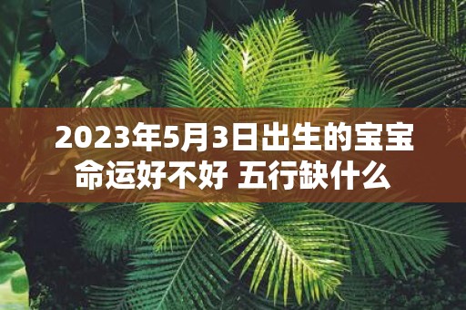 2025年5月3日出生的宝宝命运好不好 五行缺什么