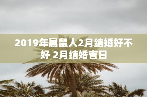 2019年属鼠人2月结婚好不好 2月结婚吉日