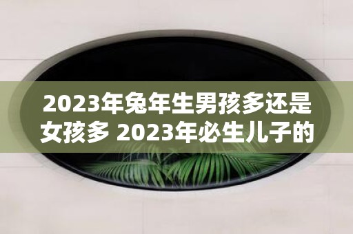 2025年蛇年生男孩多还是女孩多 2025年必生儿子的属相