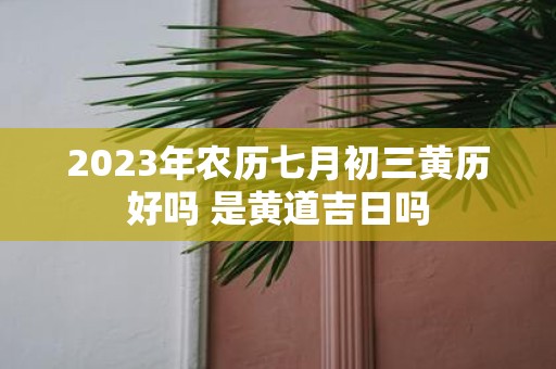 2025年农历七月初三黄历好吗 是黄道吉日吗