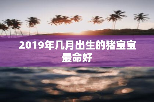 2019年几月出生的猪宝宝最命好