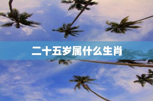 二十五岁属什么生肖