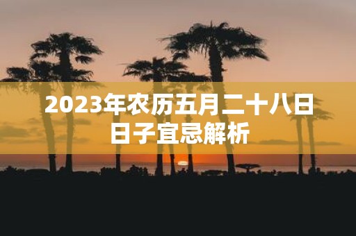 2025年农历五月二十八日日子宜忌解析