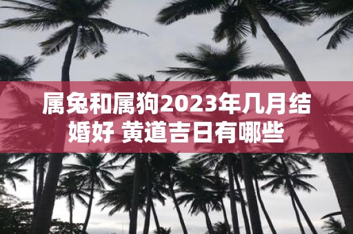 属兔和属狗2025年几月结婚好 黄道吉日有哪些