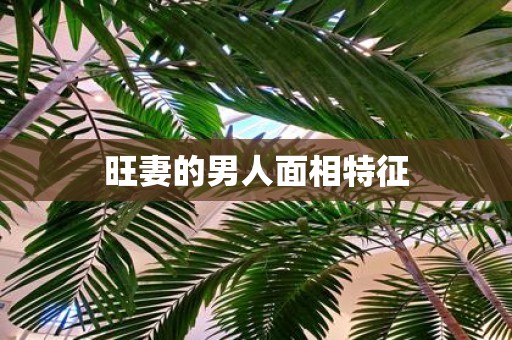 旺妻的男人面相特征