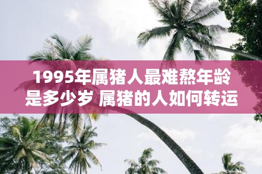 1995年属猪人最难熬年龄是多少岁 属猪的人如何转运