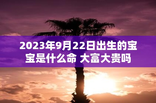 2025年9月22日出生的宝宝是什么命 大富大贵吗